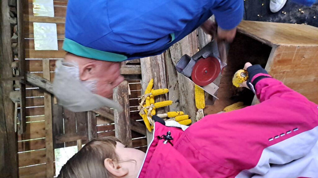 Star kmečki običaj – luščenje koruze